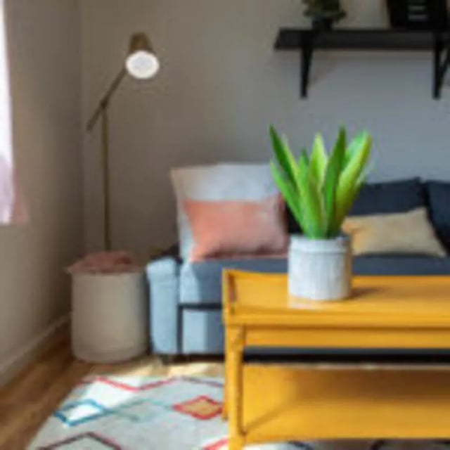 Sofa plant yellow table living room at 494 Lofts in Boone Student Accommodation