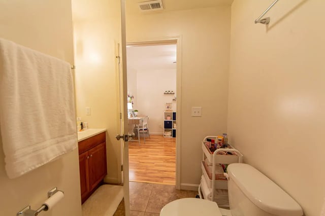 Toilet vanity shelves and desk area bathroom at 494 Lofts in Boone Student Accommodation