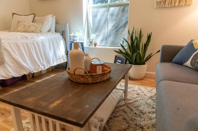 Bed coffee table sofa and plant living room at 494 Lofts in Boone Student Accommodation
