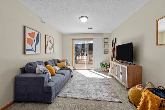 Sofa rug television and artwork living room at The Grove at Mankato in Mankato Student Accommodation