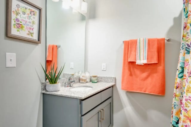 Sink towels plant art and shower curtain bathroom at The Husk and The Helm in Cullowhee Student Accommodation