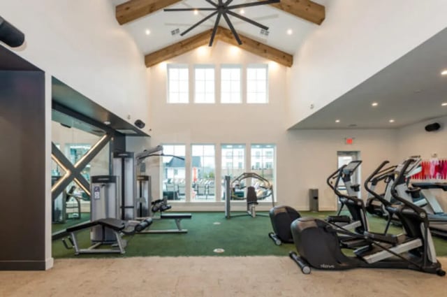 Gym equipment elliptical machines and treadmills gym at The Husk and The Helm in Cullowhee Student Accommodation