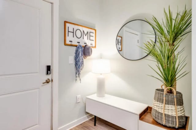 Door mirror lamp plant bench entryway at The Husk and The Helm in Cullowhee Student Accommodation