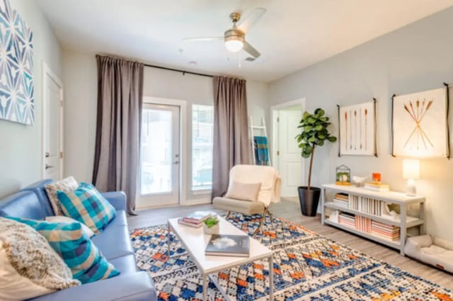 Blue sofa patterned rug chair plant living room at The Husk and The Helm in Cullowhee Student Accommodation