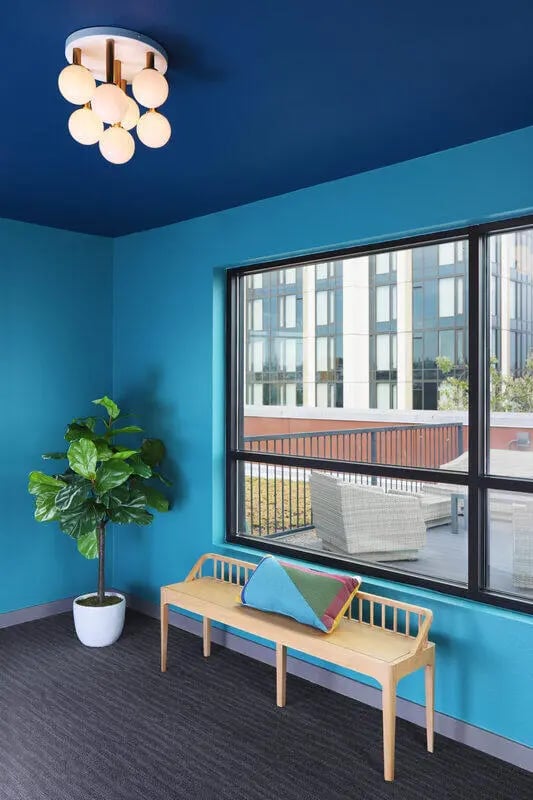 Modern bench with pillow plant and window view communal area at NORA Apartments in Seattle Student Accommodation