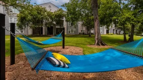 Blue hammocks with pillows outdoor lounge area at Maison Burbank in Baton Rouge Student Accommodation