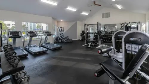 Treadmills ellipticals weights gym equipment fitness center at Maison Burbank in Baton Rouge Student Accommodation