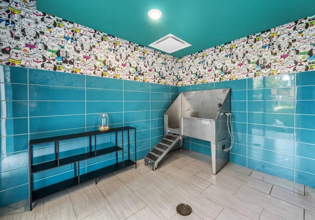 Dog wash station with ladder and shelving unit Pet amenity area at Aspen Heights Bloomington in Bloomington Student Accommodation
