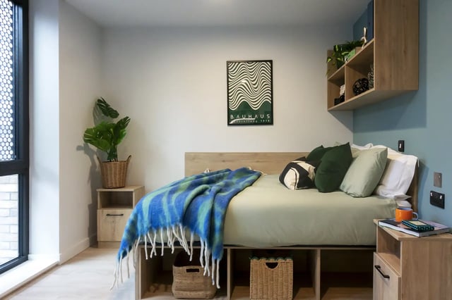Bed with blue throw pillows and a plant bedroom at Queen Street Place in Galway Student Accommodation