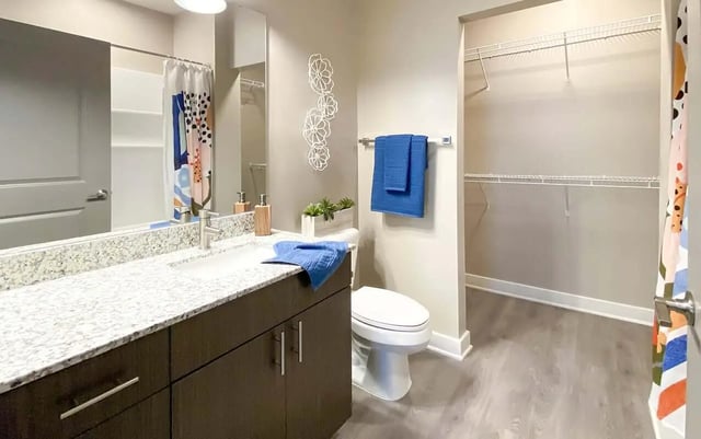 Granite vanity toilet and closet bathroom at Cedar Pointe Apartments in Blacksburg Student Accommodation