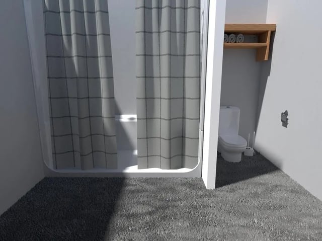 pro