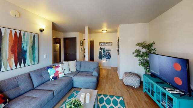 pro-Living-Room