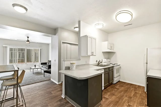 pro14-kitchen-3