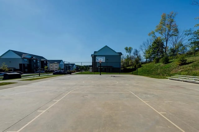 probasketball-1