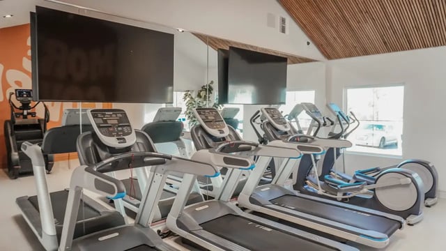 protarkville-16