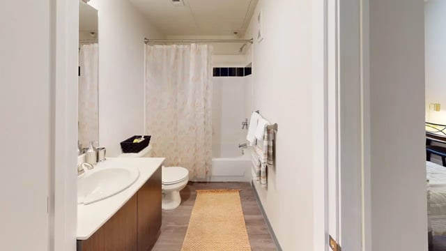 proTH-Bathroom1