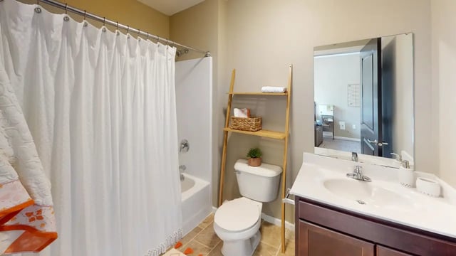 proTH-Bathroom1
