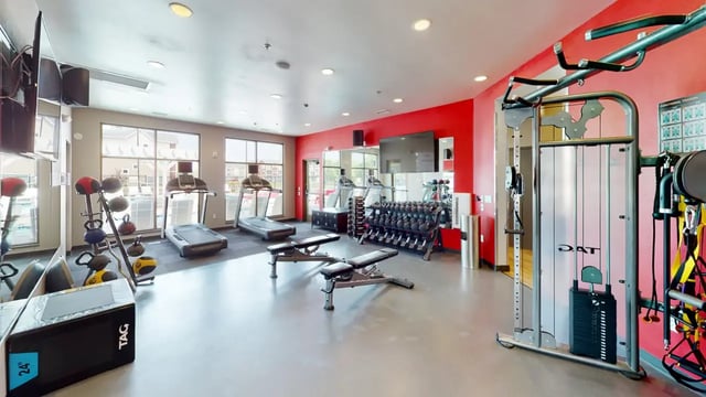 protness_Center