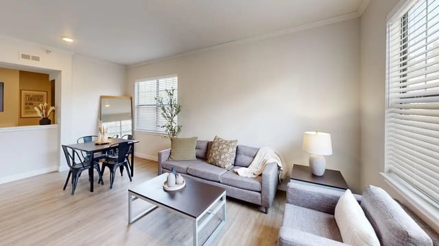 pro-Living-Room