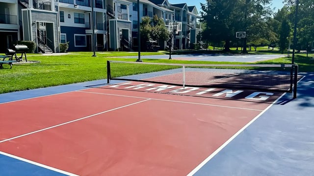 proelball_Court