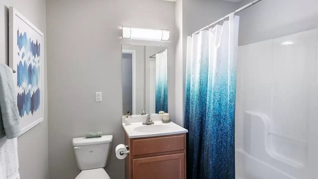pro.05248860409