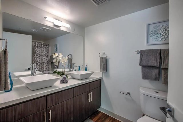 prole-bathroom2