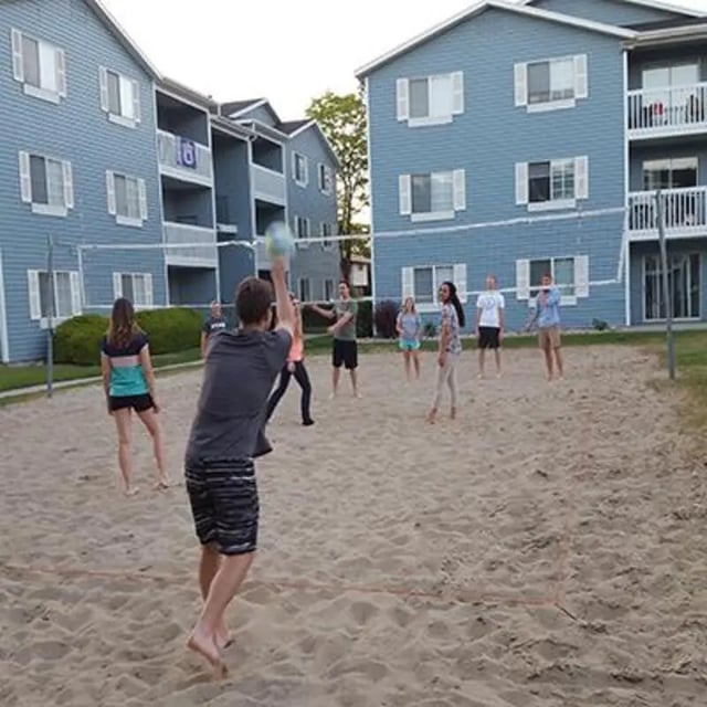 proe-volleyball