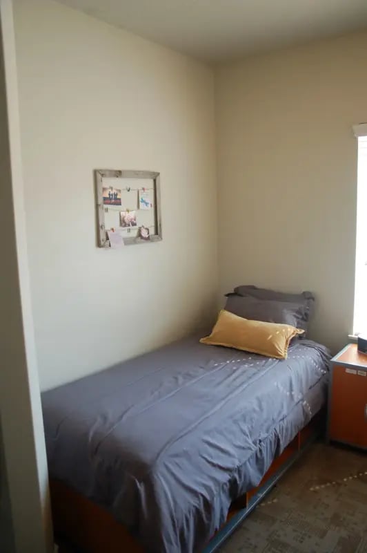 pro.41743654445