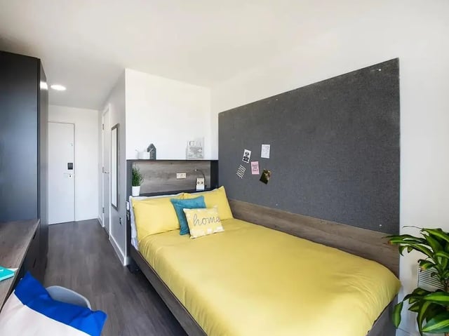 proge-bed-focus