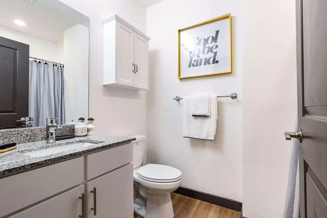 proBathroom (1)