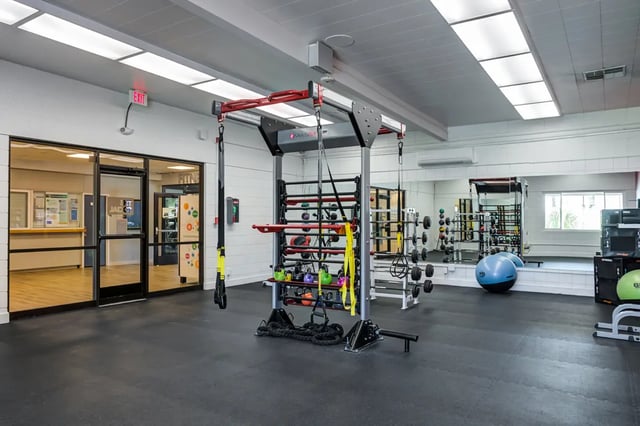 pronter-weights