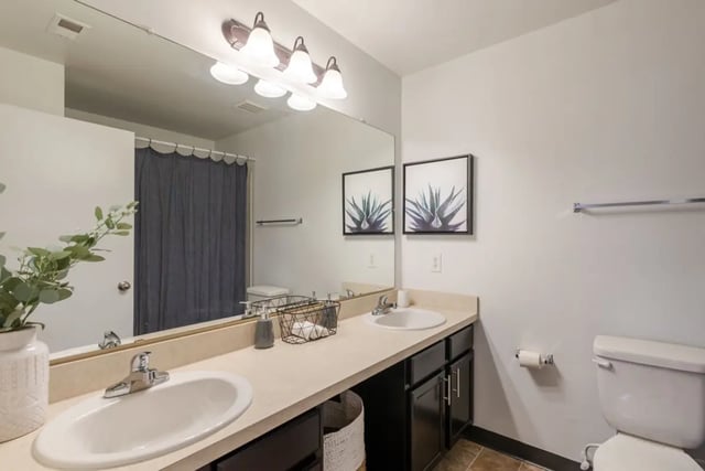 produal-sinks-1