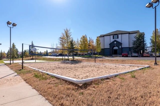 proball-court-1