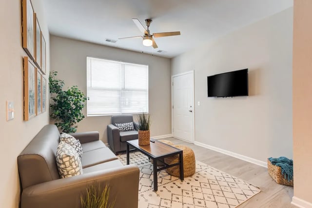 pro-living-room