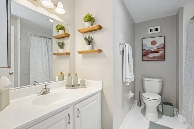 pro218-bathroom