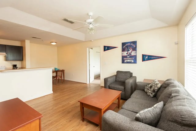 pro-living-room