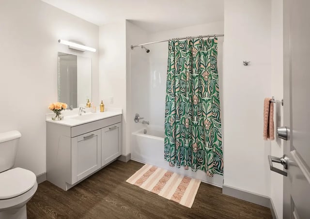 prouse_Bathroom