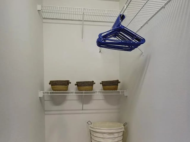 prolery_730x547