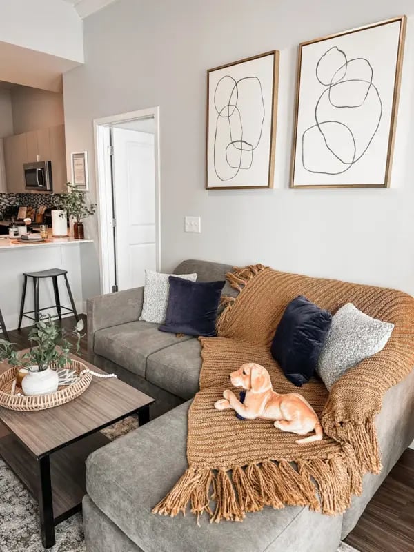 prory-apt-00007