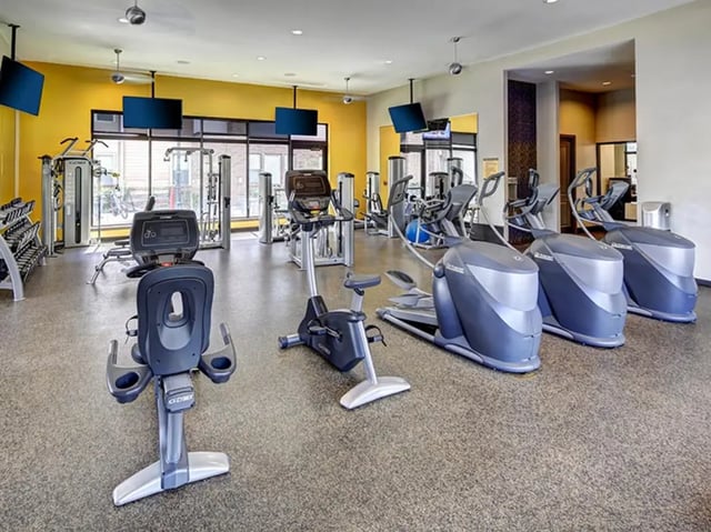 prolery_730x547