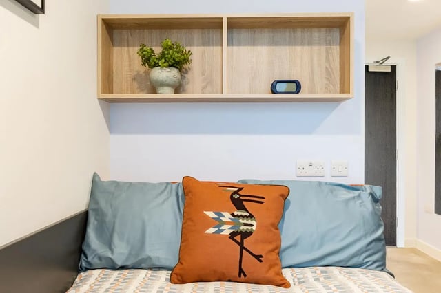 Bed with pillows plant and shelves Bedroom at Croft Court in Bristol Student Accommodation