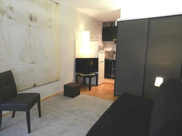 Vitruvian Man tapestry sofa television kitchen living room at Studio in Rue de Dantzig, 75015 Paris, France in Paris Student Accommodation