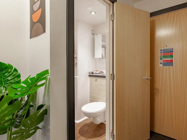 pro-show-flat-6