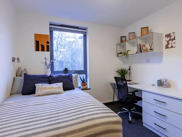 pro-show-flat-1