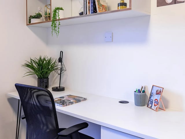 pro-show-flat-4