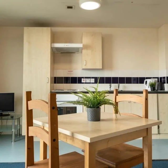 Wooden table chairs plant kitchen appliances kitchen at Burley Road in Leeds Student Accommodation