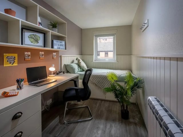 Desk bed shelves plant bedroom at Meadow Court in Edinburgh Student Accommodation