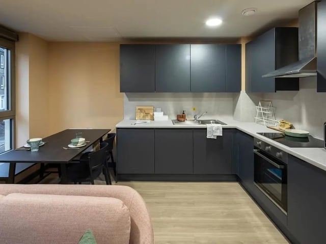 Modern kitchen with dark cabinets oven sink kitchen area at Norton's Student Living in Edinburgh Student Accommodation