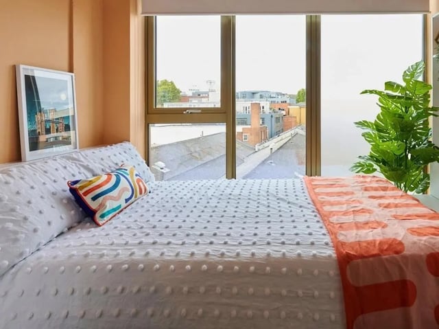Bed with white duvet colorful pillow plant bedroom at View Studios in London Student Accommodation