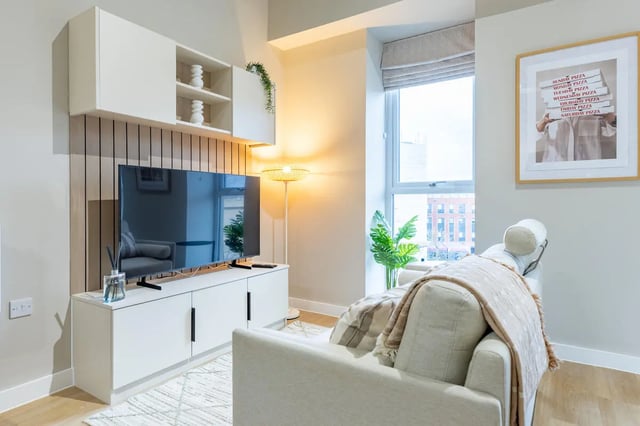 Sofa TV shelf picture and plant living room at Fitz and Knox in Cardiff Student Accommodation